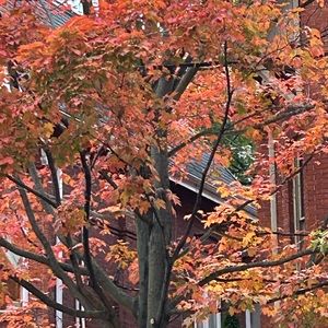 Meet your Posher, TM.